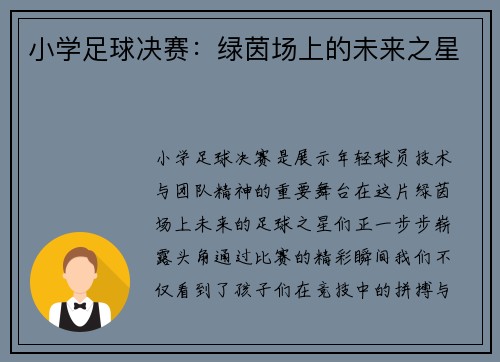 小学足球决赛：绿茵场上的未来之星