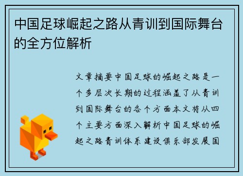 中国足球崛起之路从青训到国际舞台的全方位解析