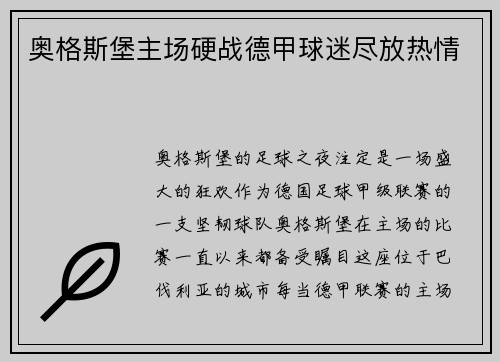 奥格斯堡主场硬战德甲球迷尽放热情
