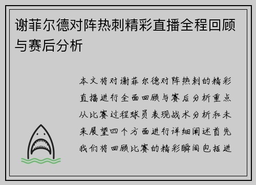 谢菲尔德对阵热刺精彩直播全程回顾与赛后分析