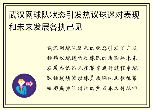 武汉网球队状态引发热议球迷对表现和未来发展各执己见